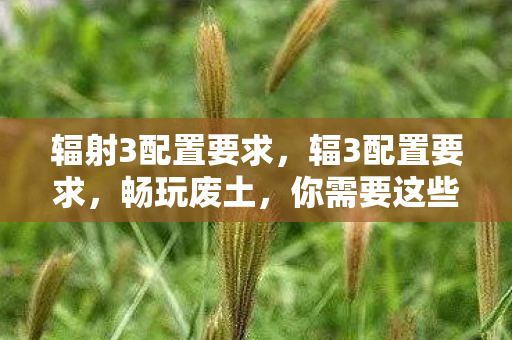 辐射3配置要求,辐3配置要求,畅玩废土,你需要这些硬件支持 辐射3配置要求,辐3配置要求,畅玩废土,你需要这些硬件支持
