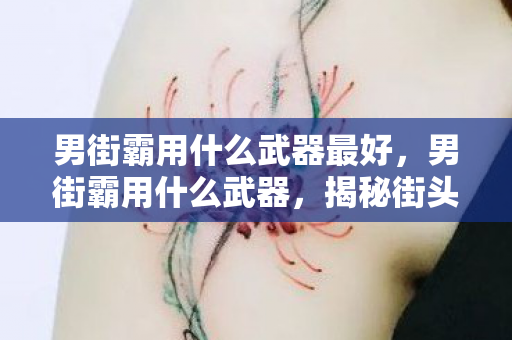 男街霸用什么武器最好,男街霸用什么武器,揭秘街头霸主的武器选择 男街霸用什么武器最好,男街霸用什么武器,揭秘街头霸主的武器选择