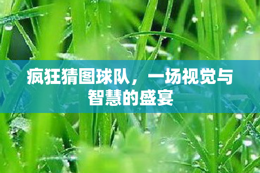 疯狂猜图球队，一场视觉与智慧的盛宴