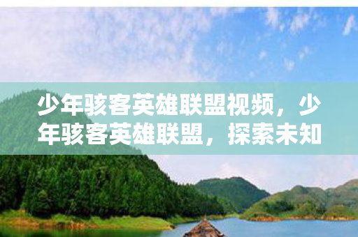 少年骇客英雄联盟视频图片