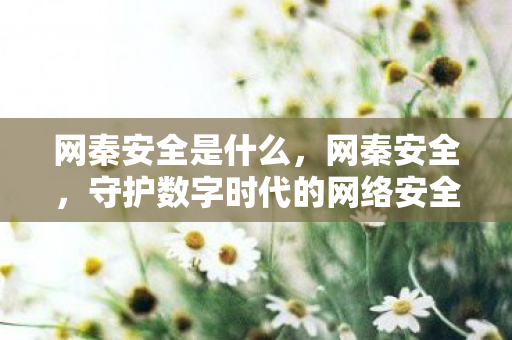 守护数字时代的网络安全防线图片