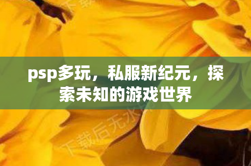 psp多玩，私服新纪元，探索未知的游戏世界