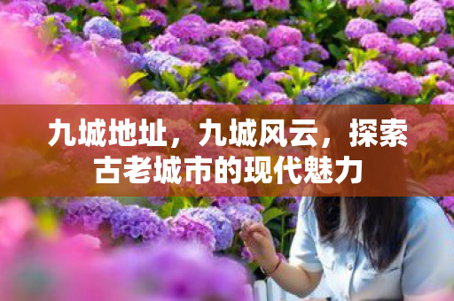 九城地址,九城风云,探索古老城市的现代魅力 九城地址,九城风云,探索古老城市的现代魅力