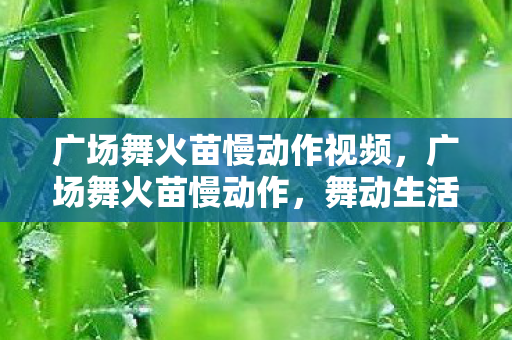 广场舞火苗慢动作视频，广场舞火苗慢动作，舞动生活的艺术