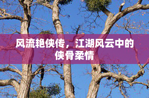 风流艳侠传,江湖风云中的侠骨柔情 风流艳侠传,江湖风云中的侠骨柔情