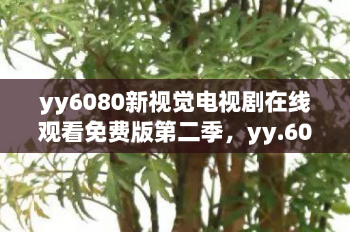 yy6080新视觉电视剧在线观看免费版第二季图片