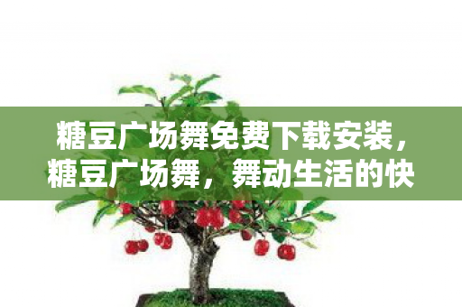 糖豆广场舞免费下载安装图片