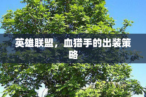 英雄联盟,血猎手的出装策略 英雄联盟,血猎手的出装策略