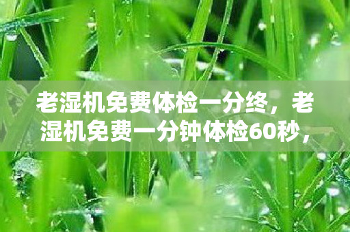老湿机免费一分钟体检60秒图片