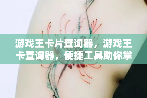 便捷工具助你掌握卡牌信息图片