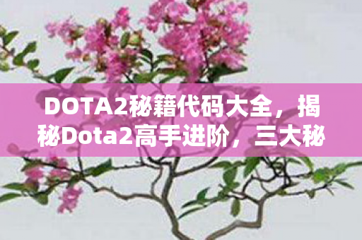 DOTA2秘籍代码大全,揭秘Dota2高手进阶,三大秘籍助你称霸战场 DOTA2秘籍代码大全,揭秘Dota2高手进阶,三大秘籍助你称霸战场