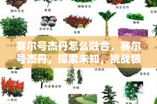 赛尔号杰丹怎么融合,赛尔号杰丹,探索未知,挑战极限 赛尔号杰丹怎么融合,赛尔号杰丹,探索未知,挑战极限