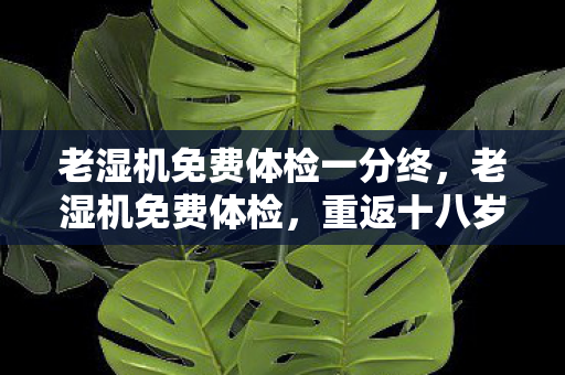 老湿机免费体检一分终，老湿机免费体检，重返十八岁的秘密