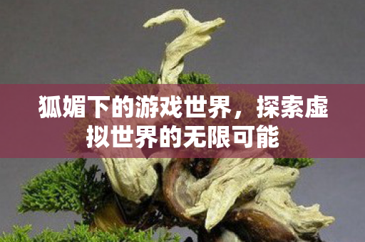 狐媚下的游戏世界,探索虚拟世界的无限可能 狐媚下的游戏世界,探索虚拟世界的无限可能