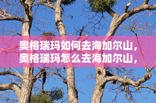 奥格瑞玛如何去海加尔山，奥格瑞玛怎么去海加尔山，一场跨越艾泽拉斯的冒险之旅