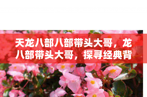 天龙八部八部带头大哥，龙八部带头大哥，探寻经典背后的传奇故事