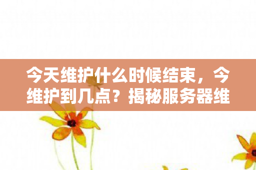今天维护什么时候结束,今维护到几点?揭秘服务器维护的幕后故事 今天维护什么时候结束,今维护到几点?揭秘服务器维护的幕后故事