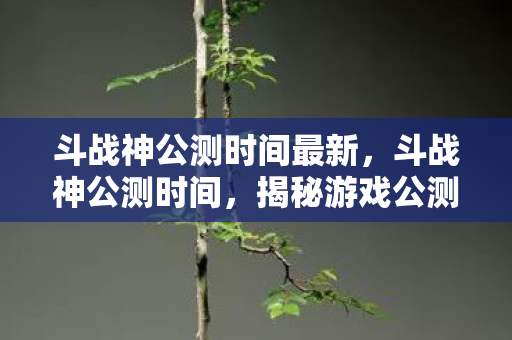 揭秘游戏公测背后的故事图片