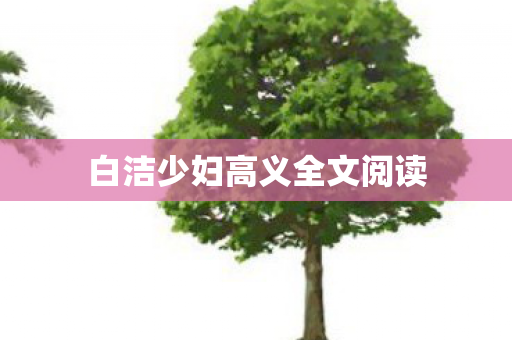 白洁少妇高义全文阅读图片