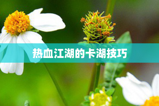 热血江湖的卡湖技巧 热血江湖的卡湖技巧