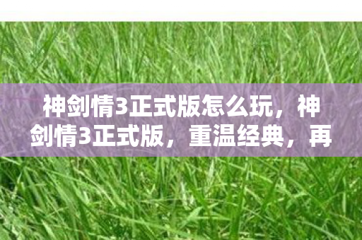 神剑情3正式版怎么玩图片