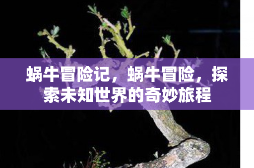 探索未知世界的奇妙旅程图片