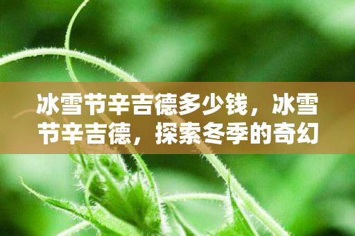 冰雪节辛吉德多少钱,冰雪节辛吉德,探索冬季的奇幻之旅 冰雪节辛吉德多少钱,冰雪节辛吉德,探索冬季的奇幻之旅