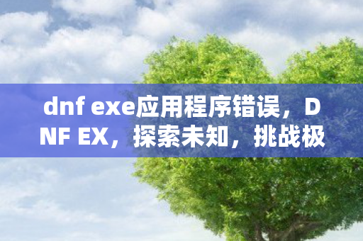 dnf exe应用程序错误,DNF EX,探索未知,挑战极限 dnf exe应用程序错误,DNF EX,探索未知,挑战极限