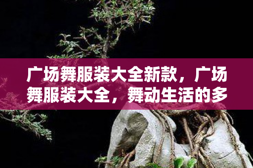 广场舞服装大全新款,广场舞服装大全,舞动生活的多彩选择 广场舞服装大全新款,广场舞服装大全,舞动生活的多彩选择
