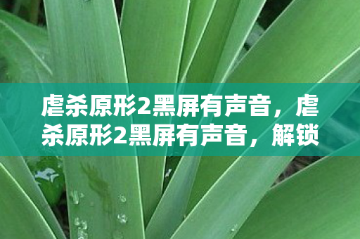 虐杀原形2黑屏有声音,虐杀原形2黑屏有声音,解锁游戏难题,畅享完美体验 虐杀原形2黑屏有声音,虐杀原形2黑屏有声音,解锁游戏难题,畅享完美体验