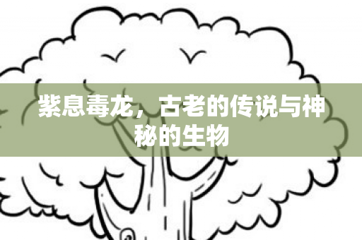 紫息毒龙，古老的传说与神秘的生物