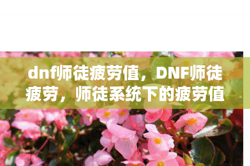 dnf师徒疲劳值,DNF师徒疲劳,师徒系统下的疲劳值管理策略 dnf师徒疲劳值,DNF师徒疲劳,师徒系统下的疲劳值管理策略