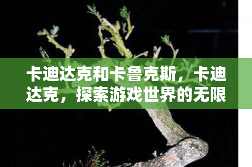 卡迪达克和卡鲁克斯,卡迪达克,探索游戏世界的无限可能 卡迪达克和卡鲁克斯,卡迪达克,探索游戏世界的无限可能