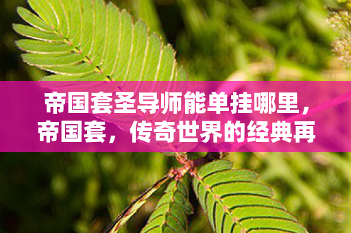 帝国套圣导师能单挂哪里,帝国套,传奇世界的经典再现 帝国套圣导师能单挂哪里,帝国套,传奇世界的经典再现
