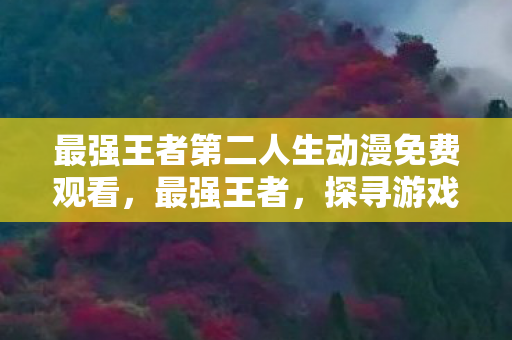 最强王者第二人生动漫免费观看图片