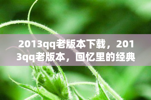 2013qq老版本下载图片