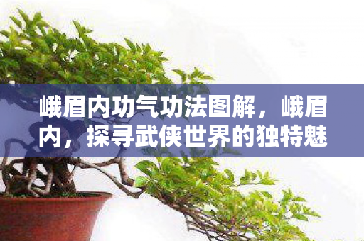 探寻武侠世界的独特魅力图片