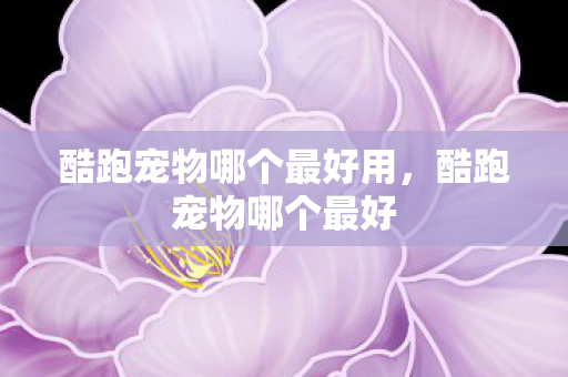 酷跑宠物哪个最好用图片