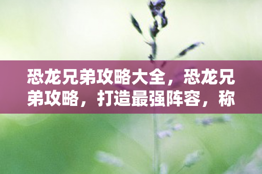 恐龙兄弟攻略大全图片