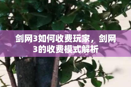剑网3如何收费玩家,剑网3的收费模式解析 剑网3如何收费玩家,剑网3的收费模式解析