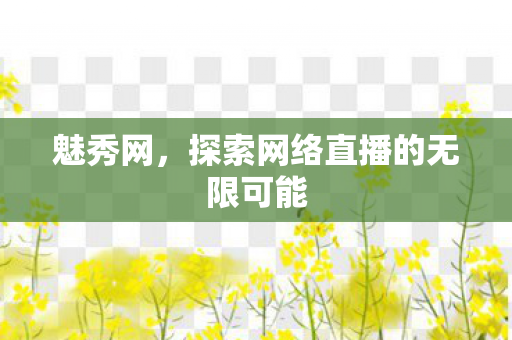 魅秀网,探索网络直播的无限可能 魅秀网,探索网络直播的无限可能