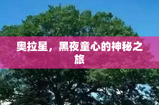 奥拉星，黑夜童心的神秘之旅