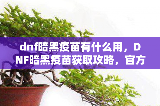 dnf暗黑疫苗有什么用图片