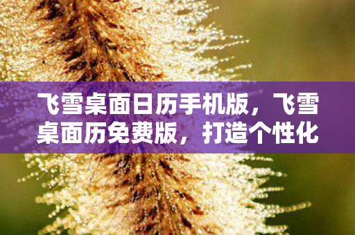 打造个性化桌面的新选择图片