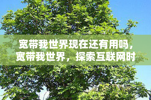 宽带我世界现在还有用吗，宽带我世界，探索互联网时代的无限可能