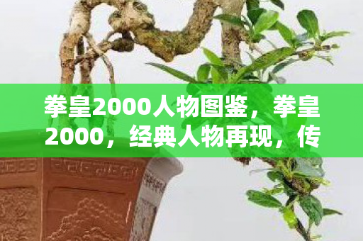 拳皇2000人物图鉴图片