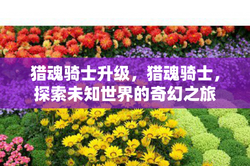 探索未知世界的奇幻之旅图片