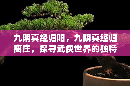 探寻武侠世界的独特魅力图片