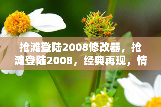 抢滩登陆2008修改器图片