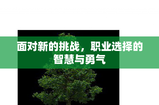 面对新的挑战,职业选择的智慧与勇气 面对新的挑战,职业选择的智慧与勇气